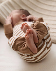 Chestnut Brown Stripe Crescent Zippy