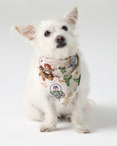 Disney & Pixar Woody's Wild West Pet Bandana