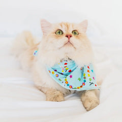 Friends Forever Pet Bandana